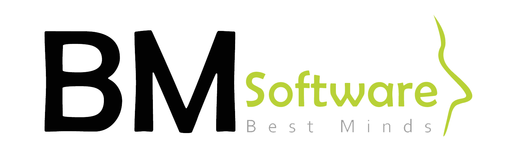 Bm Software – Software a tu medida